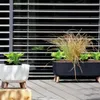 Prosperplast Kvetináč Misa Na Nožičkách 29 Cm Gracia Náhľad obrázku produktu 15
