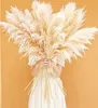 set di 10 erbe di pampa XXL (100 cm) per decorazioni boho - Anteprima dell’immagine prodotto 2