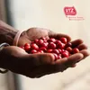 Tchibo Cafissimo úložný box Caffè Crema plné kávové Náhľad obrázku produktu 8
