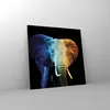Bilder auf glas - Einteilig - Bunt Elefant Fotografie - Produktbild-Vorschau 4