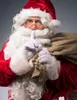 Occhiali tondi retrò Babbo Natale oro - taglia unica Anteprima dell’immagine prodotto 2