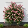 Relaxdays Klimrek, set van 2, afmetingen 193 x 58 cm, Productafbeelding-voorbeeld 2