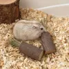3 Stück Kaninchen-Spielzeug, Hasen-Kauspielzeug Für Zähne, Produktbild-Vorschau 4