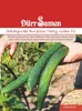 Salatgurke Burpless Tasty Green F1 | Salatgurkensamen von Produktbild-Vorschau 4