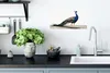 MuchoWow® Poster Pfau - Federn - Vogel - Kinder - Jungen - Produktbild-Vorschau 3