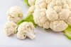Odporny kalafior Tasty 1G Bora Podgląd zdjęcia produktu 4