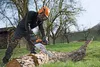 A person wearing protective gear is using a chainsaw to cut a log in a grassy outdoor area with trees. Produktbild-Vorschau