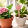 Wasserspender Blumentopf Nessa 2er-Set Produktbild-Vorschau 2