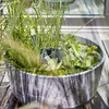 Solar Wassergarten AQUATOPIA inkl. Wasserspielpumpe - Produktbild-Vorschau 5