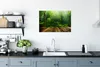 MuchoWow® Poster Boden - Holz - Dschungel - Jungen - Produktbild-Vorschau 3