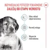 Royal Canin Medium Puppy, Štěně, Střední (11 - 25kg), Náhled obrázku produktu 15