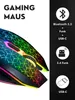 A gaming mouse with RGB lighting is shown next to a panel detailing its features. Produktbild-Vorschau