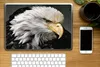 MuchoWow® Laptop Aufkleber Sticker Cover Tiere - Vogel - Produktbild-Vorschau 2