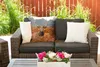 MuchoWow® Outdoor Kissen - Hirsch - Baum - Herbst - 60x60 Produktbild-Vorschau 5