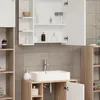 A bathroom vanity set with a sink and cabinet, and a medicine cabinet above. Podgląd zdjęcia produktu