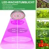 26W LED Pflanzenlampe Vollspektrum E27, Grow Light Birne Produktbild-Vorschau 3