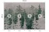 Muralo Vlies Fototapete Für Wohnzimmer BÄUME Wald Beton Produktbild-Vorschau 2