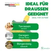 Novaliv Krallenbesen Kopf 30 cm Holz gebogenen Borsten Produktbild-Vorschau 3