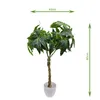 Glückskastanie 60 cm künstlich wie echt Kunstbaum Produktbild-Vorschau 7