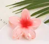 6 Packung Plumeria Acryl Haarspangen Hawaiianische Produktbild-Vorschau 2