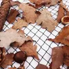 A collection of dried leaves, a pine cone, a chestnut, and a walnut shell are scattered on a black net, which is placed on a white surface. Podgląd zdjęcia produktu