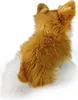 RAPPA Peluche chien chihuahua assis 28 cm ECO-FRIENDLY Voir les images du produit 7