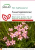 SAFLAX - Tausendgüldenkraut - Centaurium erythraea - 250 Produktbild-Vorschau 1