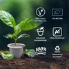 A young plant growing out of a coffee capsule in soil, with various icons and text overlays indicating product features. Produktbild-Vorschau