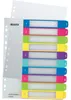 Indice Leitz WOW 12430000 DIN A4 1-10 altezza PP completa Anteprima dell’immagine prodotto 6