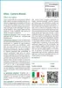 SAFLAX  - Olivo - 20 semi - Olea Anteprima dell’immagine prodotto 3