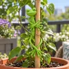 Lot de 10 clips flexibles pour plantes – FROGTIE Voir les images du produit 3