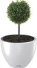 A white planter with a green artificial topiary plant inside, set against a white background. Produktbild-Vorschau