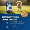 A dog food bag and a golden retriever running on grass. Produktbild-Vorschau