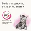 Katzenmilchersatz - Beaphar Produktbild-Vorschau 2
