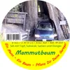 Artikelbild 2 von 'Garden to Go Mammutbaum' aus der Kategorie Anzuchtsets Náhľad obrázku produktu