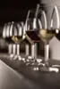 SCHOTT ZWIESEL Weißweinglas-Set 4-tlg For You Produktbild-Vorschau 3