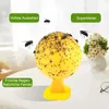 OKWISH Fliegenklatschen, Fruchtfliegenfalle 6er Set, Produktbild-Vorschau 4