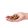 Bloomique - Mix 40 - Krokus - Krokus - Mix kolorów - Podgląd zdjęcia produktu 5