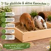 Buddelsand für Kaninchen 20 kg | Natürlicher grabfähiger Produktbild-Vorschau 4