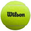 Wilson Premier Padelbälle Gelb 3 Balls Gelb 3 Balls Produktbild-Vorschau 2