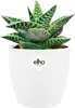 elho brussels Rund Mini 10,5cm Übertopf - weiss Produktbild-Vorschau 6