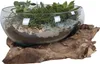 Goccia d'acqua San Marino h20 cm in teak. Anteprima dell’immagine prodotto 3