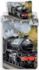Pościel lokomotywa 3D 140x200/ 70x90cm bawełna Podgląd zdjęcia produktu 1