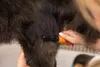 Wahl Pro Pet Dematter - peigne démêlant Voir les images du produit 8