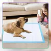 Ale-commerce | Tappetini igienici per cani - 33x45 cm - blu Anteprima dell’immagine prodotto 9