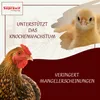 Supravit Hühnergrit Geflügelgrit 4 kg | Muschelkalk Produktbild-Vorschau 5