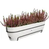 Blumenkasten Elho vibia campana Kunststoff 70,4 x 26 x 17 Produktbild-Vorschau 4
