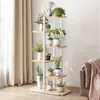 A multi-tiered plant stand filled with various potted plants, placed next to a window with beige curtains and a sofa with a pink throw blanket. Náhľad obrázku produktu
