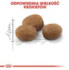 Royal Canin Sterilised 7+, Senior, 10 kg Náhľad obrázku produktu 7