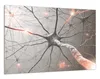 Wallario Wandbild Menschliche Nervenzelle, Größe: 61 x 91,5 Produktbild-Vorschau 2